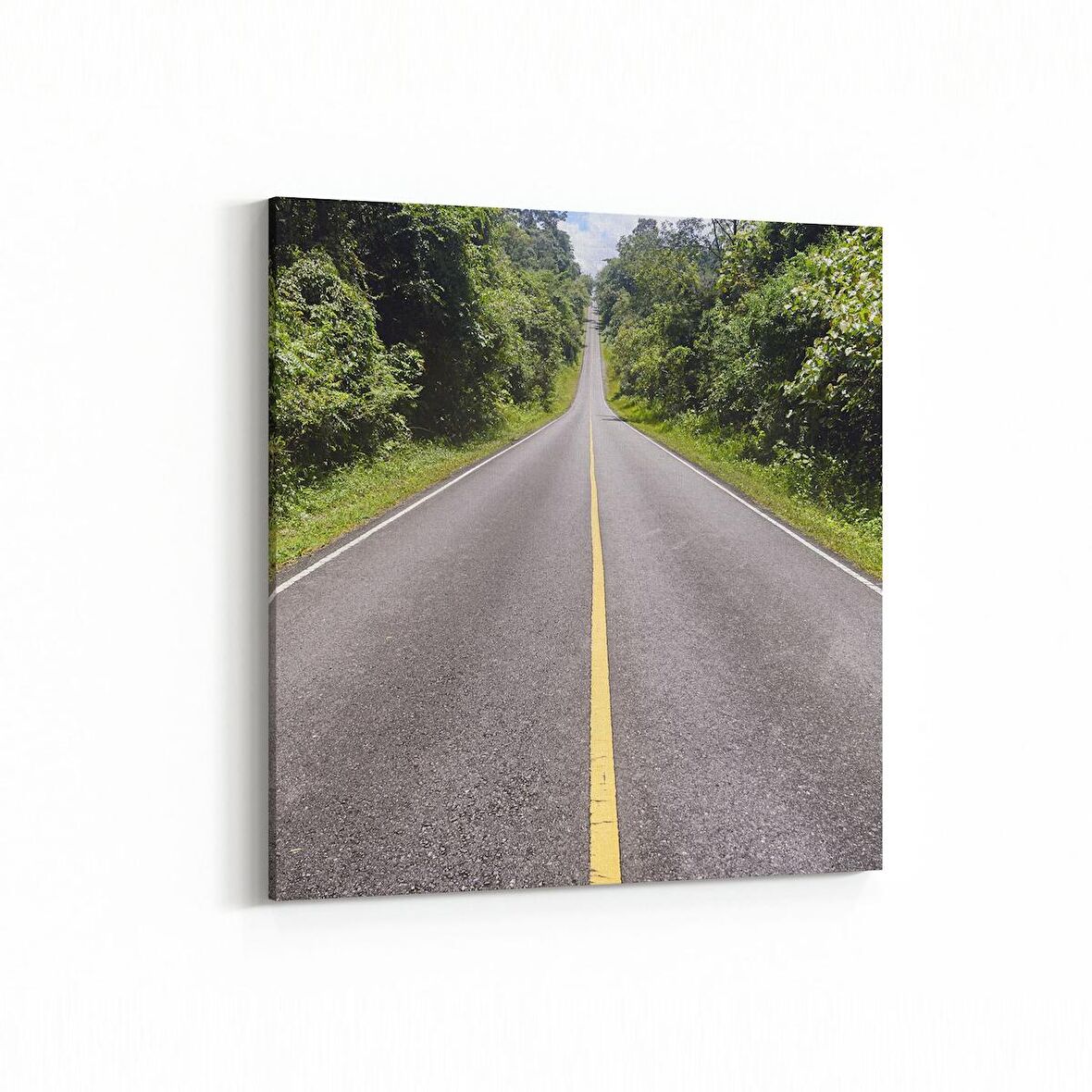 Olla 13896K Doğa / Manzara Görseli Kare Kanvas Tablo (Ölçü: 25X25)