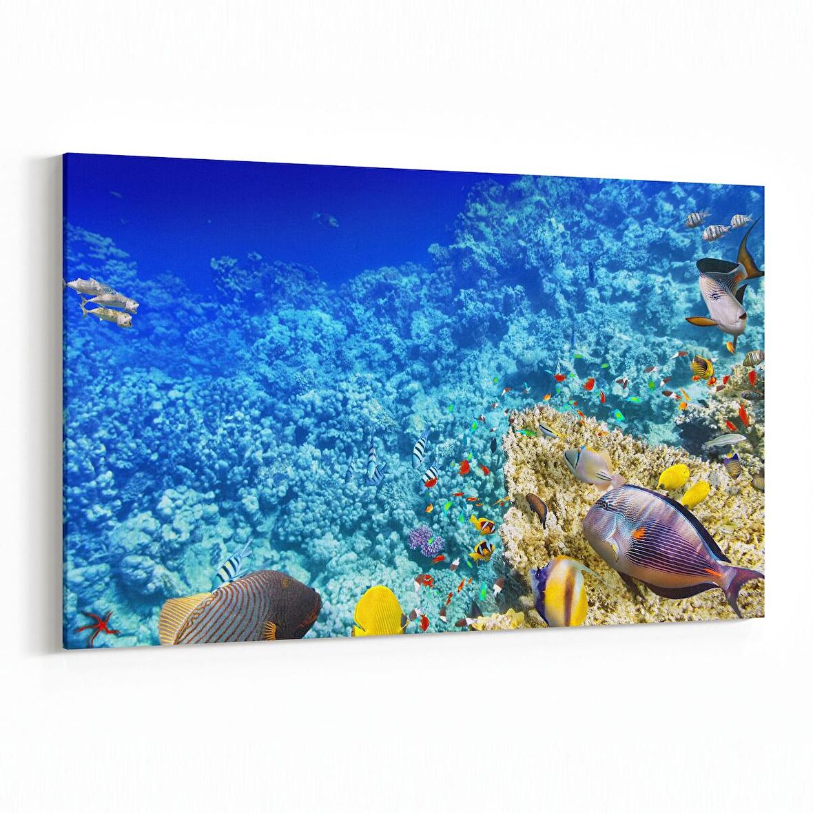 Olla 12124Y Akvaryum / Balık Görseli Yatay Kanvas Tablo (Ölçü: 150X100)