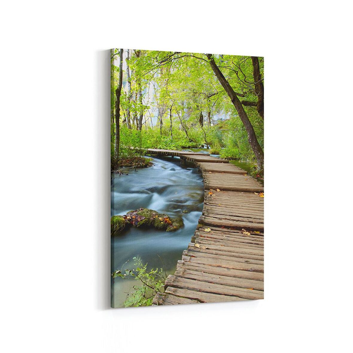 Olla 13290D Doğa / Manzara Görseli Dikey Kanvas Tablo (Ölçü: 20X30)