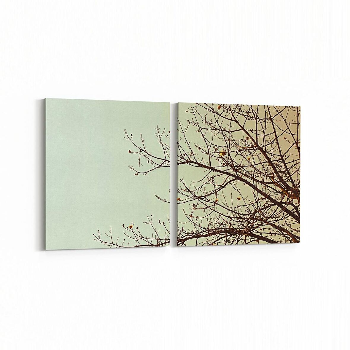 Olla 10826K2Y Ağaç Görseli Kare 2'li Yatay Kanvas Tablo (Ölçü: 145X70)