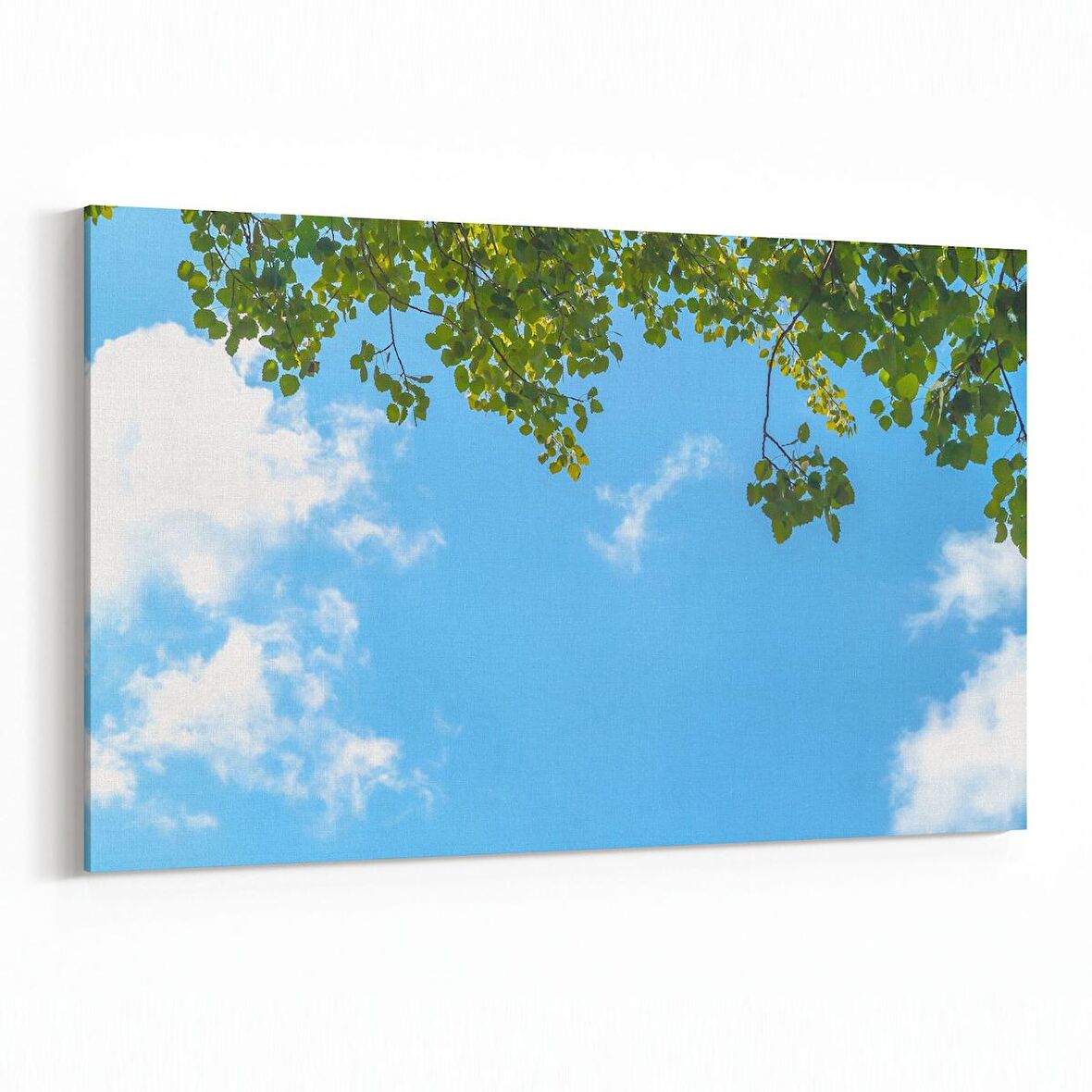 Olla 10726Y Ağaç Görseli Yatay Kanvas Tablo (Ölçü: 30X20)