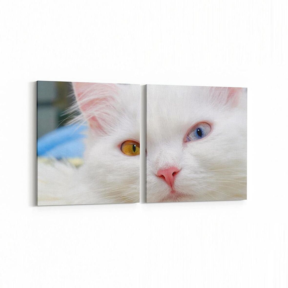 Olla 12636K2Y Hayvanlar Alemi Görseli Kare 2'li Yatay Kanvas Tablo (Ölçü: 145X70)