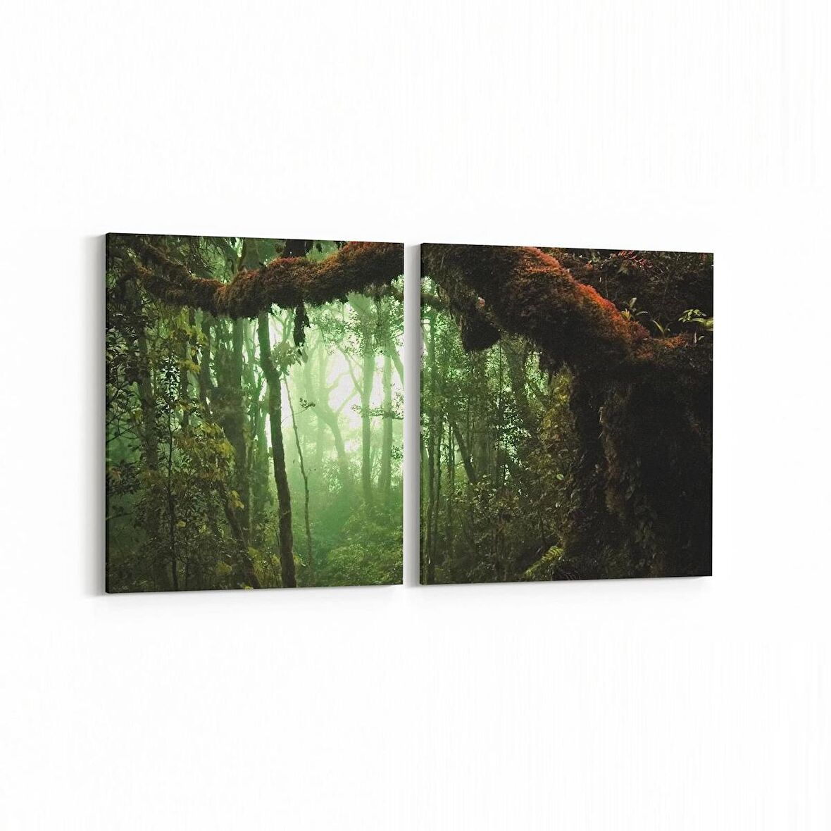 Olla 13514K2Y Doğa / Manzara Görseli Kare 2'li Yatay Kanvas Tablo (Ölçü: 85X40)