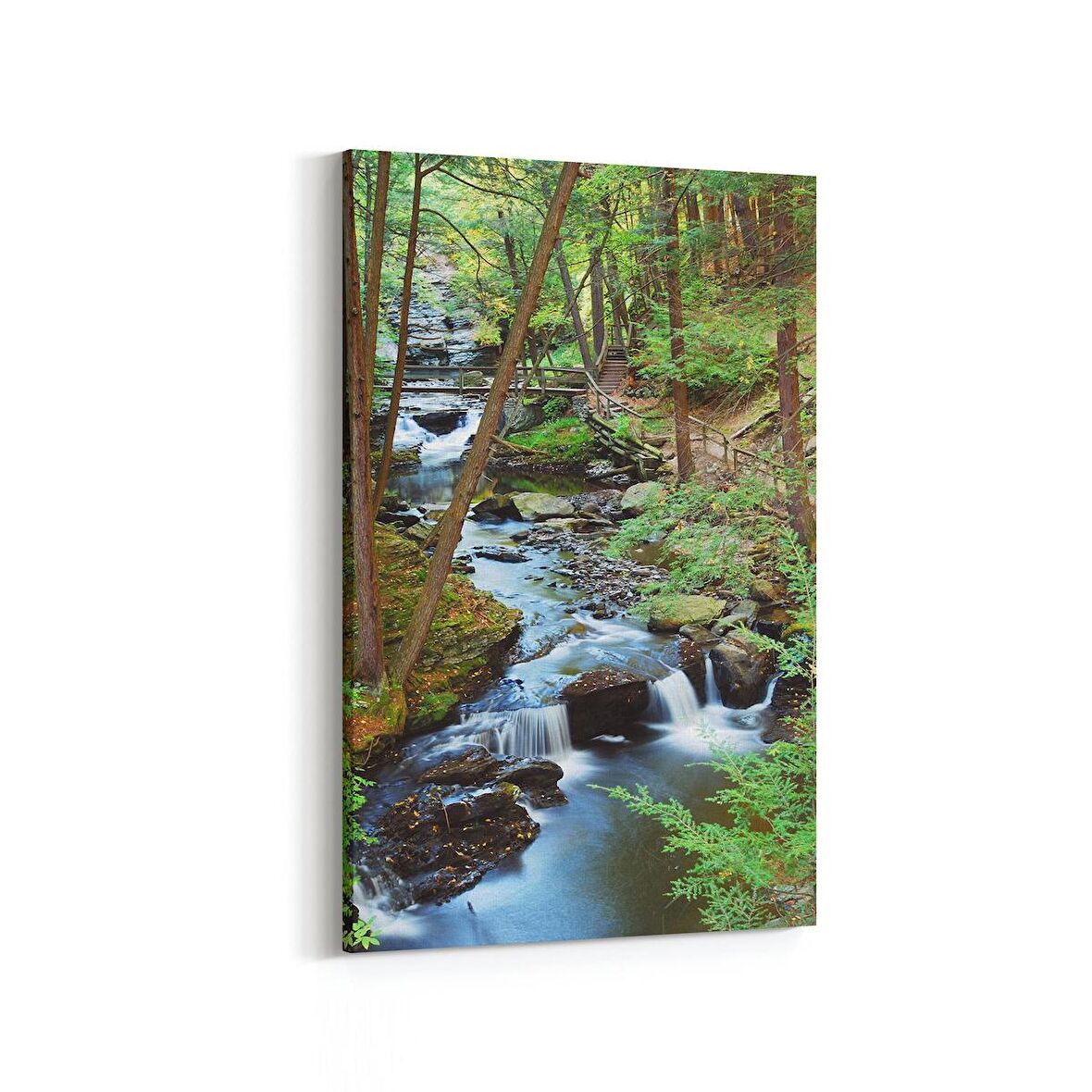 Olla 14209D Doğa / Manzara Görseli Dikey Kanvas Tablo (Ölçü: 20X30)