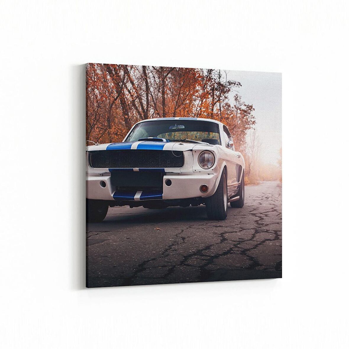 Olla 12315K Araç Görseli Kare Kanvas Tablo (Ölçü: 60X60)