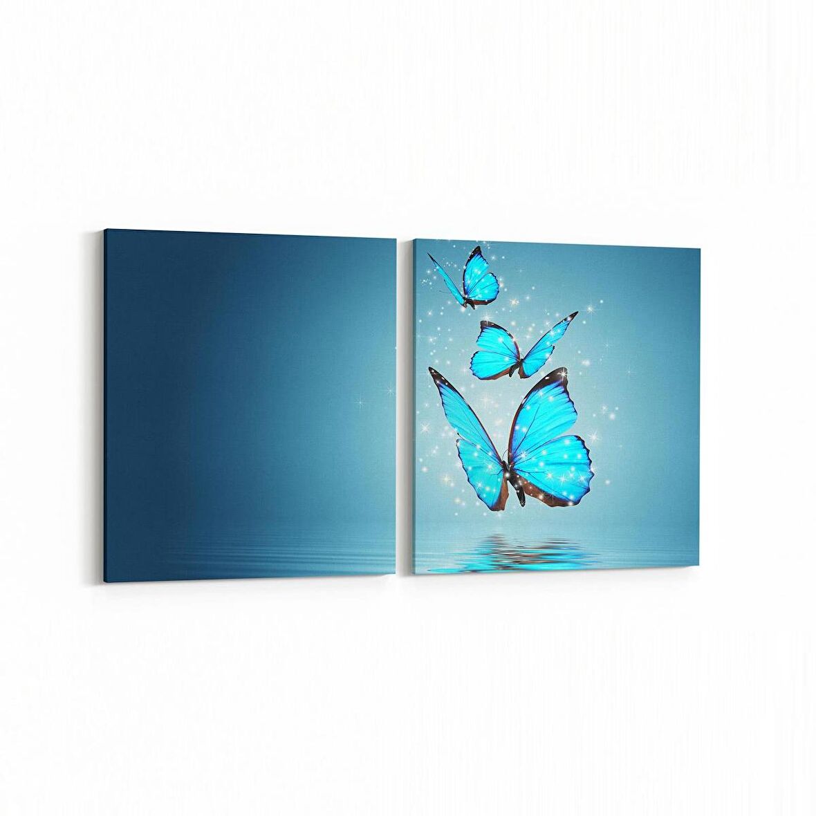 Olla 12472K2Y Hayvanlar Alemi Görseli Kare 2'li Yatay Kanvas Tablo (Ölçü: 145X70)