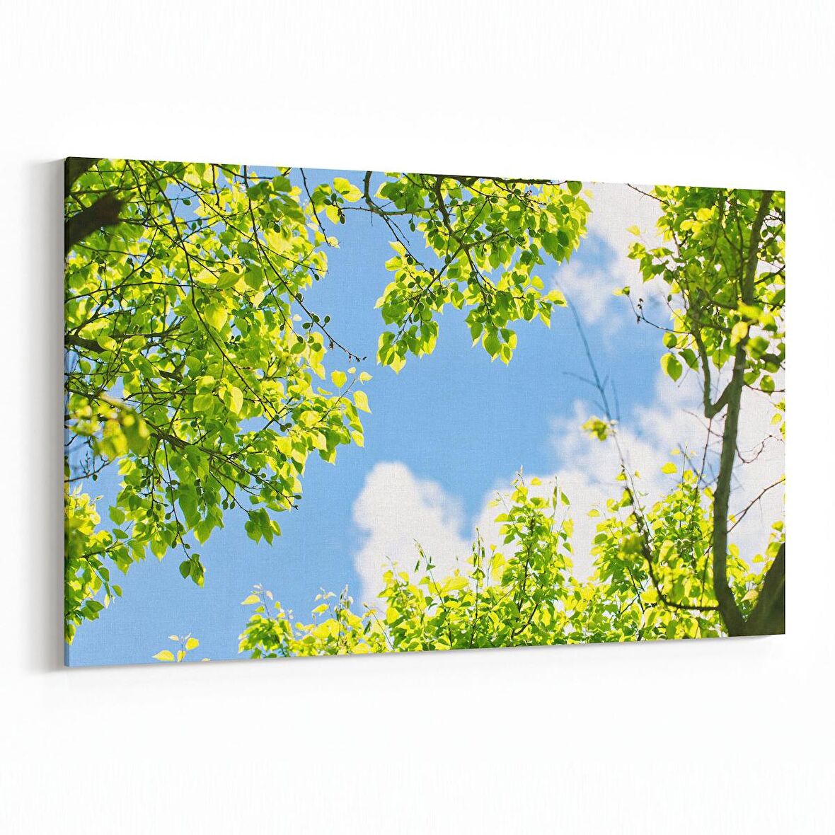 Olla 10580Y Ağaç Görseli Yatay Kanvas Tablo (Ölçü: 150X100)