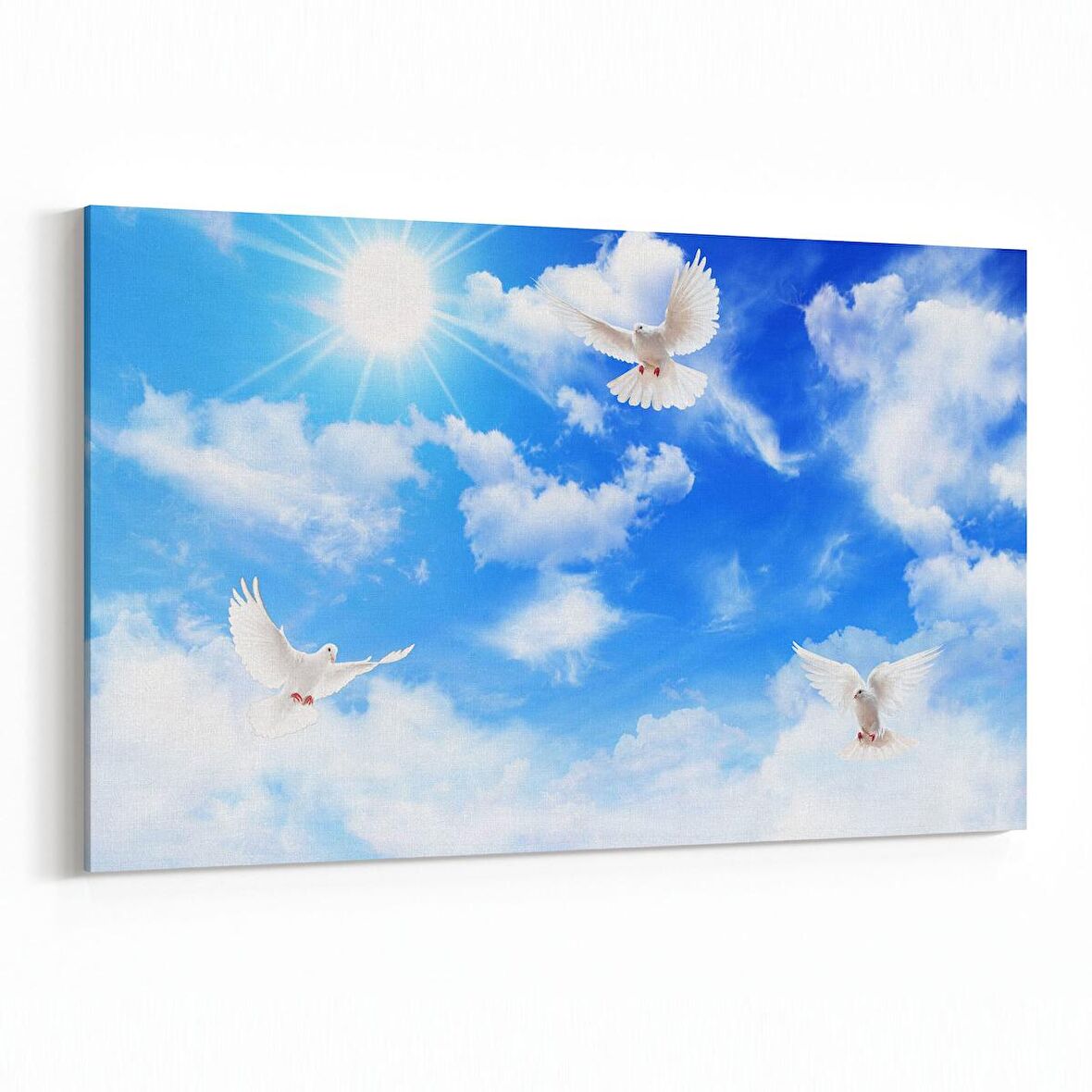 Olla 15827Y Gökyüzü Kuşlar Görseli Yatay Kanvas Tablo (Ölçü: 70X50)