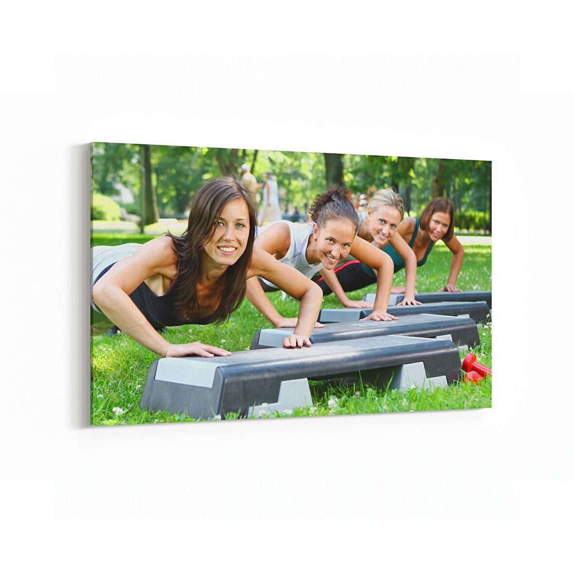 Olla 17187Y Spor Görseli Yatay Kanvas Tablo (Ölçü: 45X30)