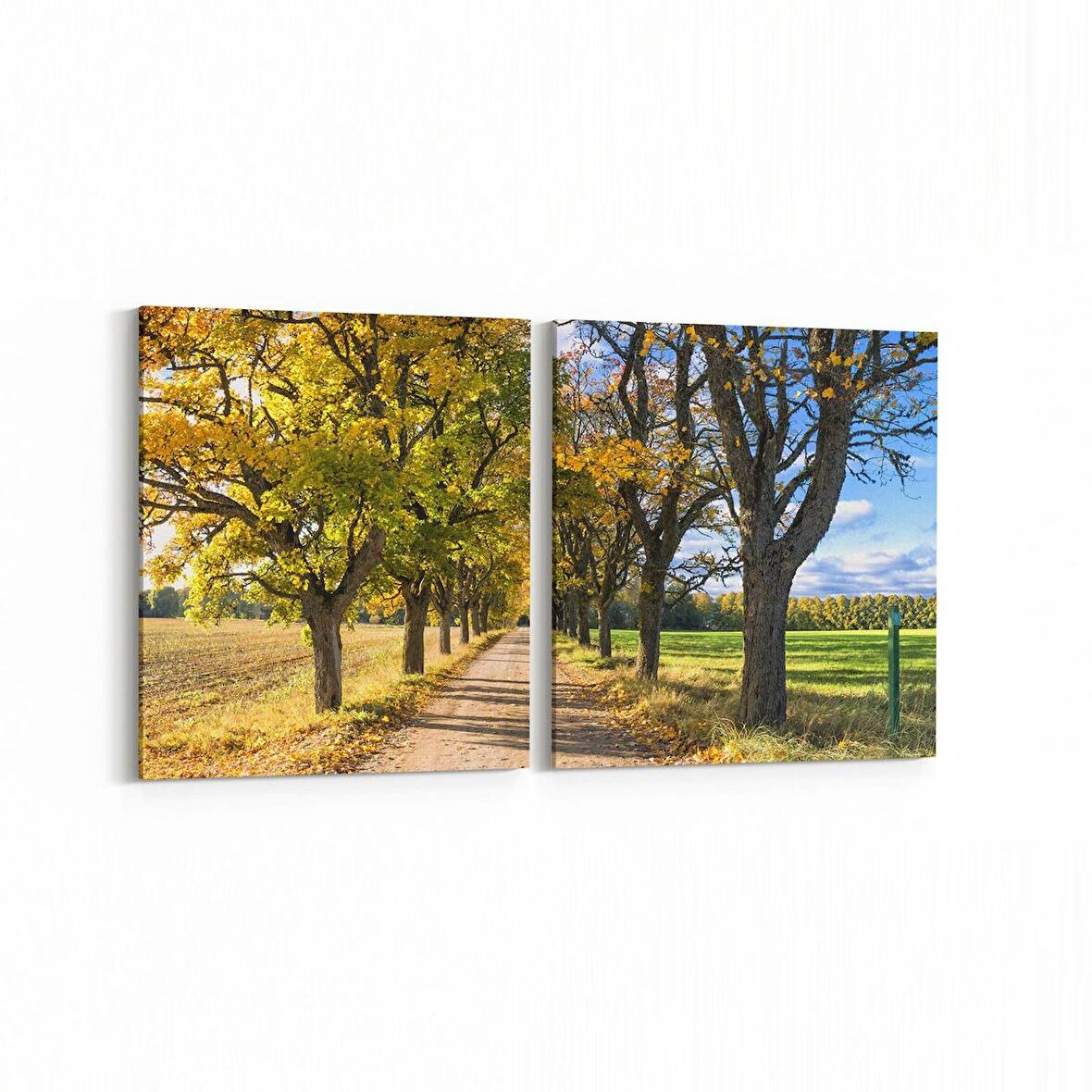 Olla 14160K2Y Doğa / Manzara Görseli Kare 2'li Yatay Kanvas Tablo (Ölçü: 125X60)