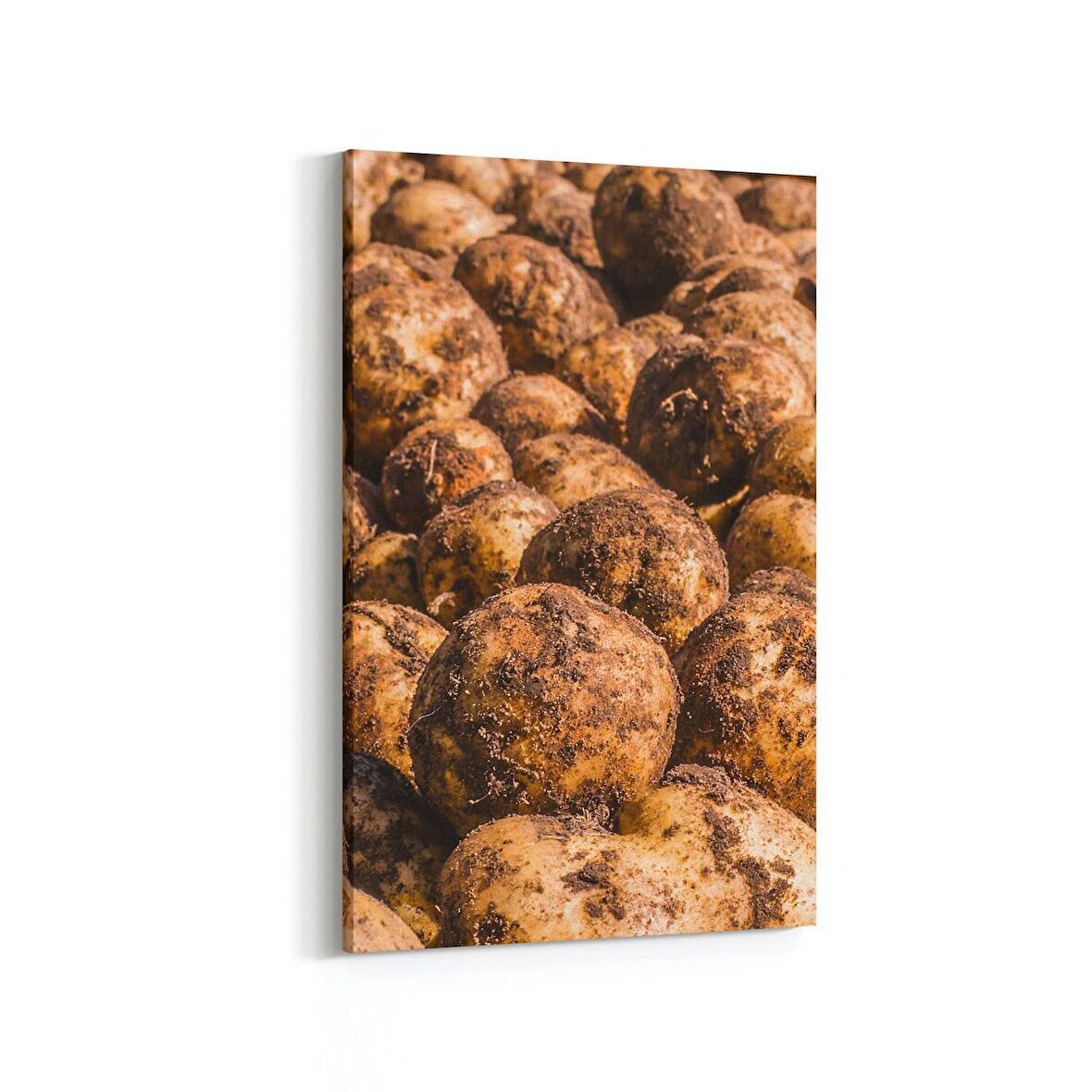 Olla 15239D Gıda Görseli Dikey Kanvas Tablo (Ölçü: 100X150)