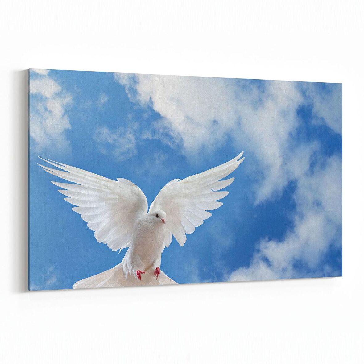 Olla 15880Y Gökyüzü Kuşlar Görseli Yatay Kanvas Tablo (Ölçü: 30X20)