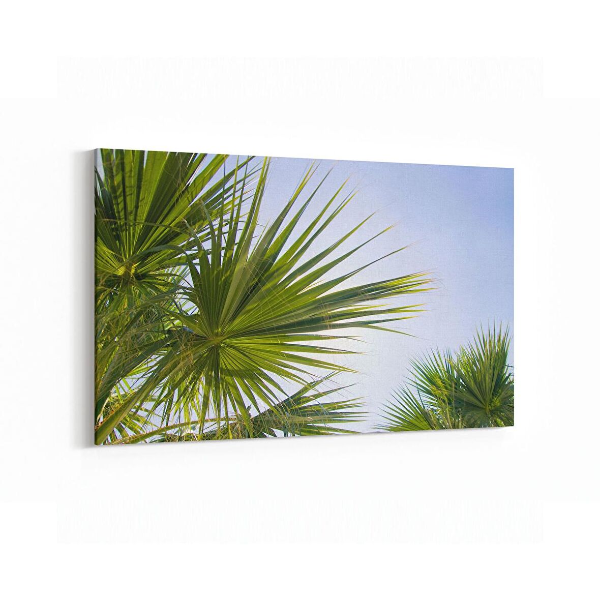 Olla 11507Y Palmiye Ağacı Görseli Yatay Kanvas Tablo (Ölçü: 45X30)