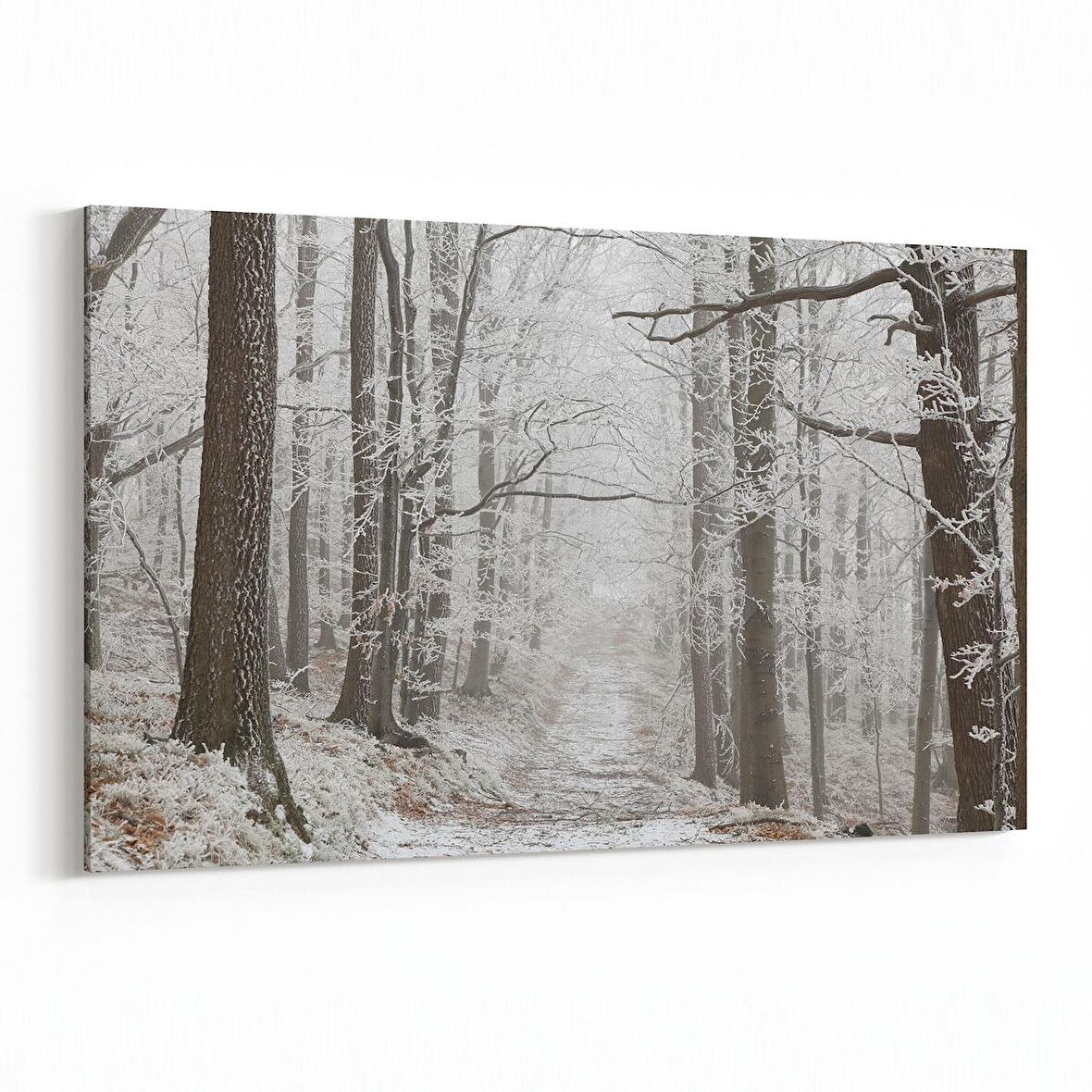 Olla 14451Y Doğa / Manzara Görseli Yatay Kanvas Tablo (Ölçü: 90X60)