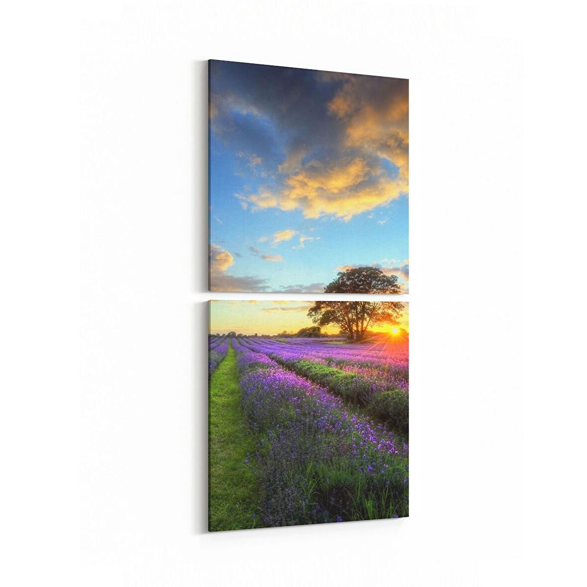Olla 16114K2D Günbatımı Görseli Kare 2'li Dikey Kanvas Tablo (Ölçü: 30X65)
