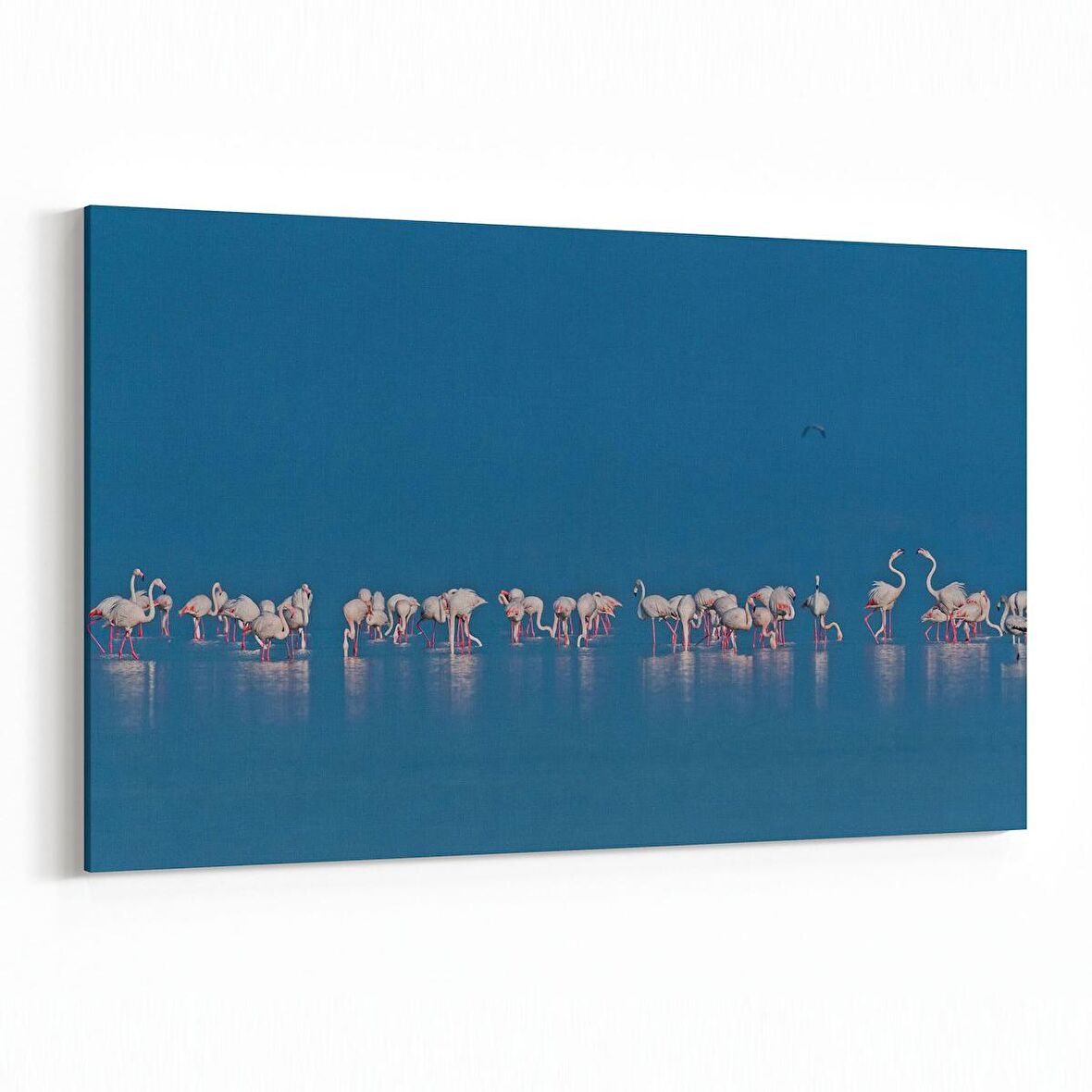 Olla 12685Y Hayvanlar Alemi Görseli Yatay Kanvas Tablo (Ölçü: 30X20)