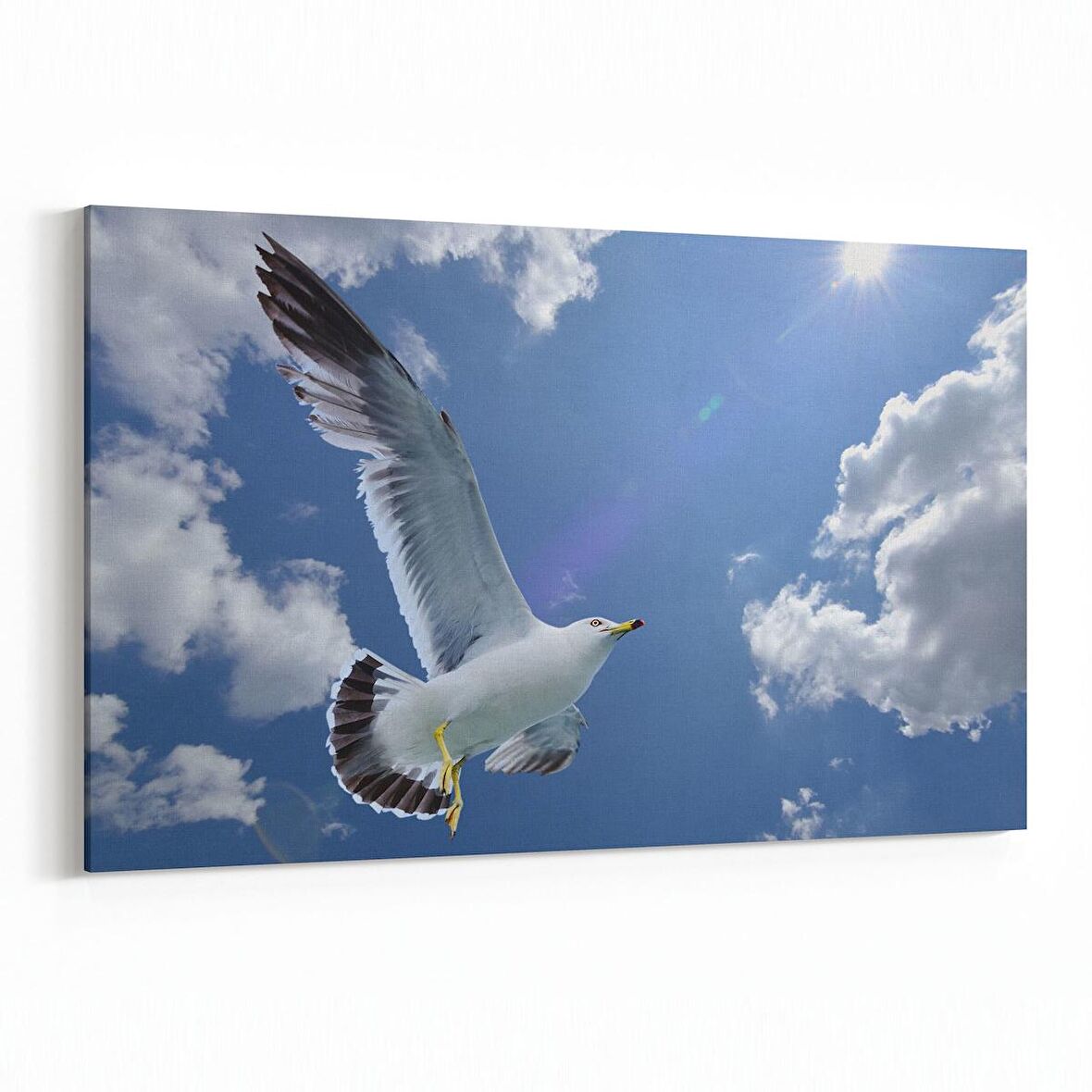 Olla 15848Y Gökyüzü Kuşlar Görseli Yatay Kanvas Tablo (Ölçü: 90X60)