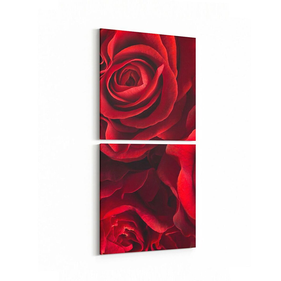 Olla 11590K2D Çiçek Görseli Kare 2'li Dikey Kanvas Tablo (Ölçü: 30X65)