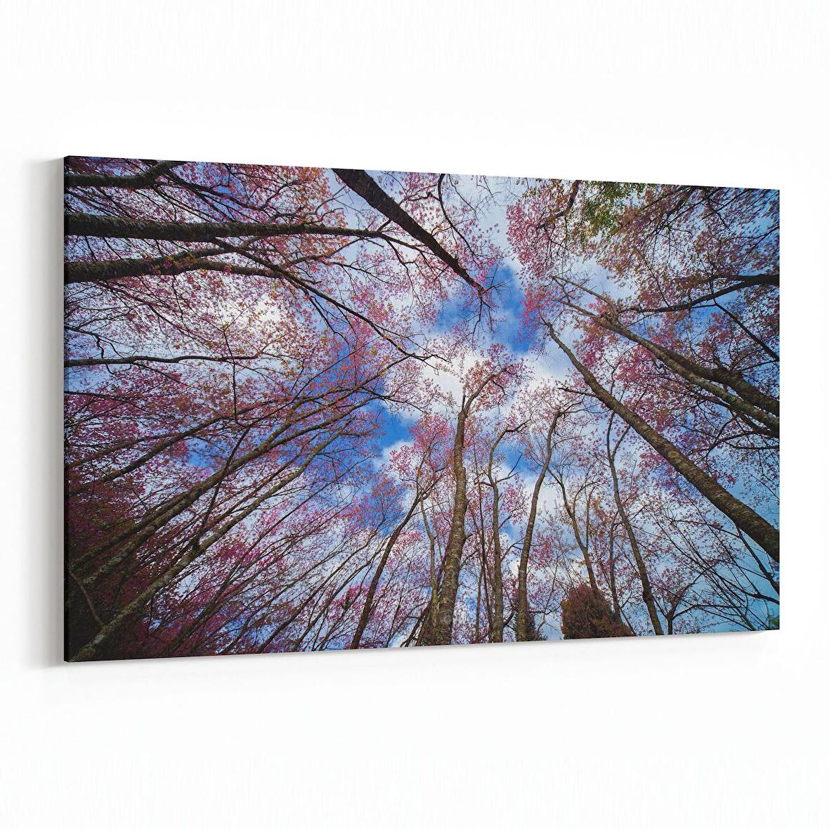 Olla 10768Y Ağaç Görseli Yatay Kanvas Tablo (Ölçü: 90X60)