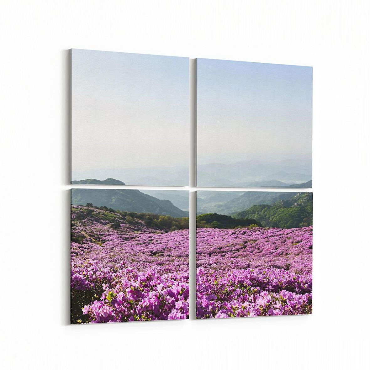 Olla 14397K4 Doğa / Manzara Görseli Kare 4'lü Kanvas Tablo (Ölçü: 145X145)