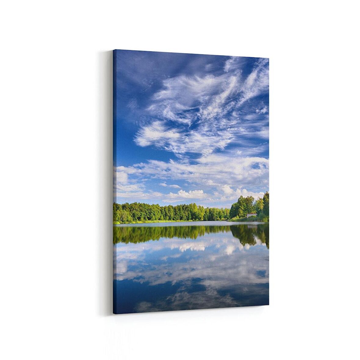 Olla 13585D Doğa / Manzara Görseli Dikey Kanvas Tablo (Ölçü: 100X150)