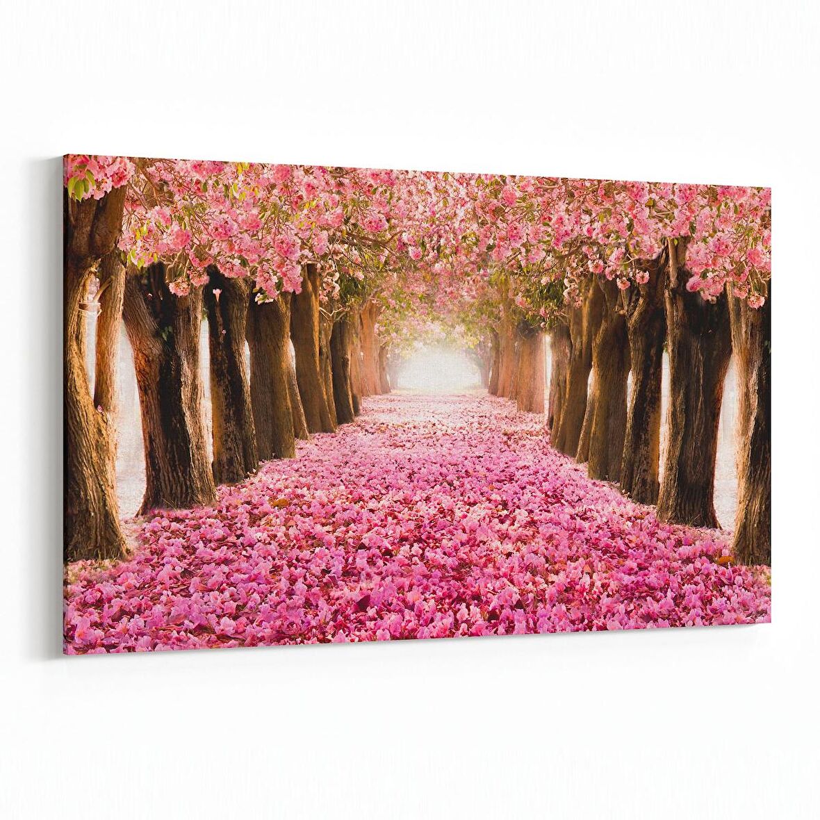 Olla 14346Y Doğa / Manzara Görseli Yatay Kanvas Tablo (Ölçü: 45X30)