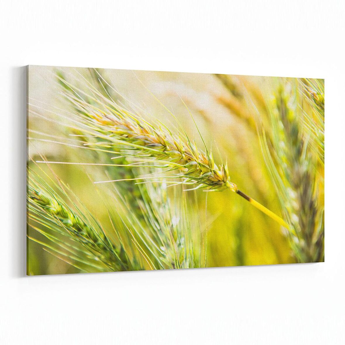 Olla 13670Y Doğa / Manzara Görseli Yatay Kanvas Tablo (Ölçü: 150X100)