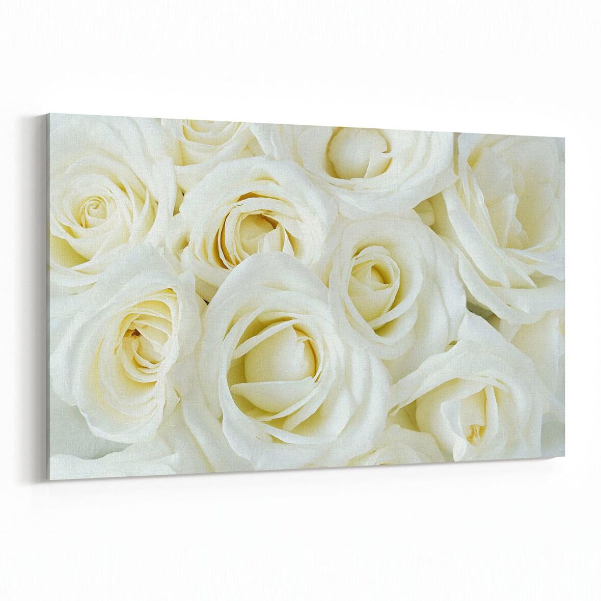 Olla 11646Y Çiçek Görseli Yatay Kanvas Tablo (Ölçü: 150X100)