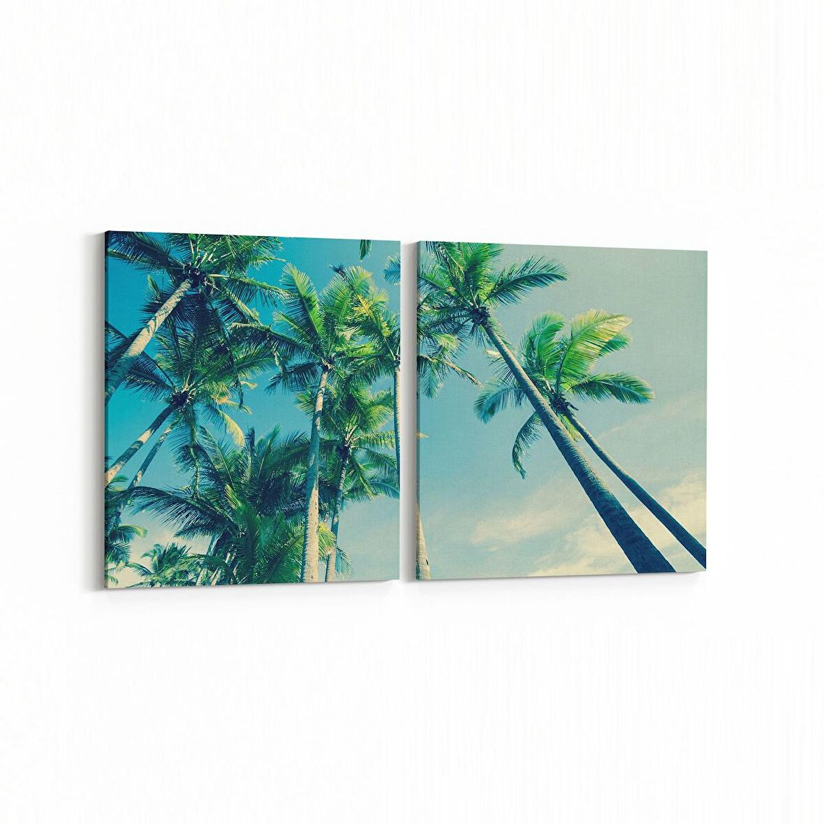 Olla 11514K2Y Palmiye Ağacı Görseli Kare 2'li Yatay Kanvas Tablo (Ölçü: 145X70)