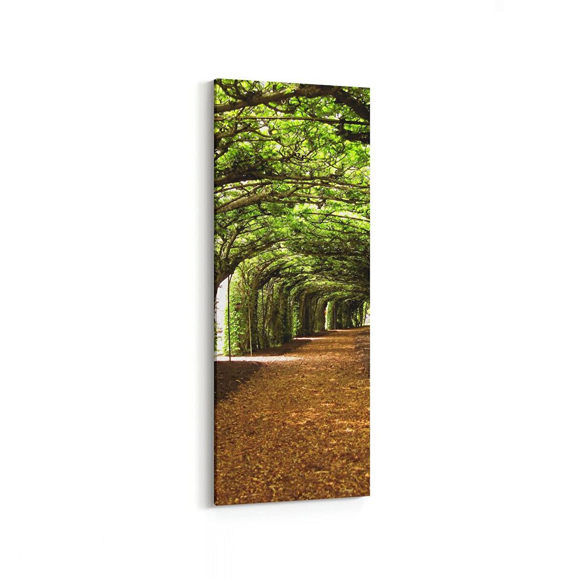 Olla 14625DI Doğa / Manzara Görseli Dikey İnce Kanvas Tablo (Ölçü: 40X120)