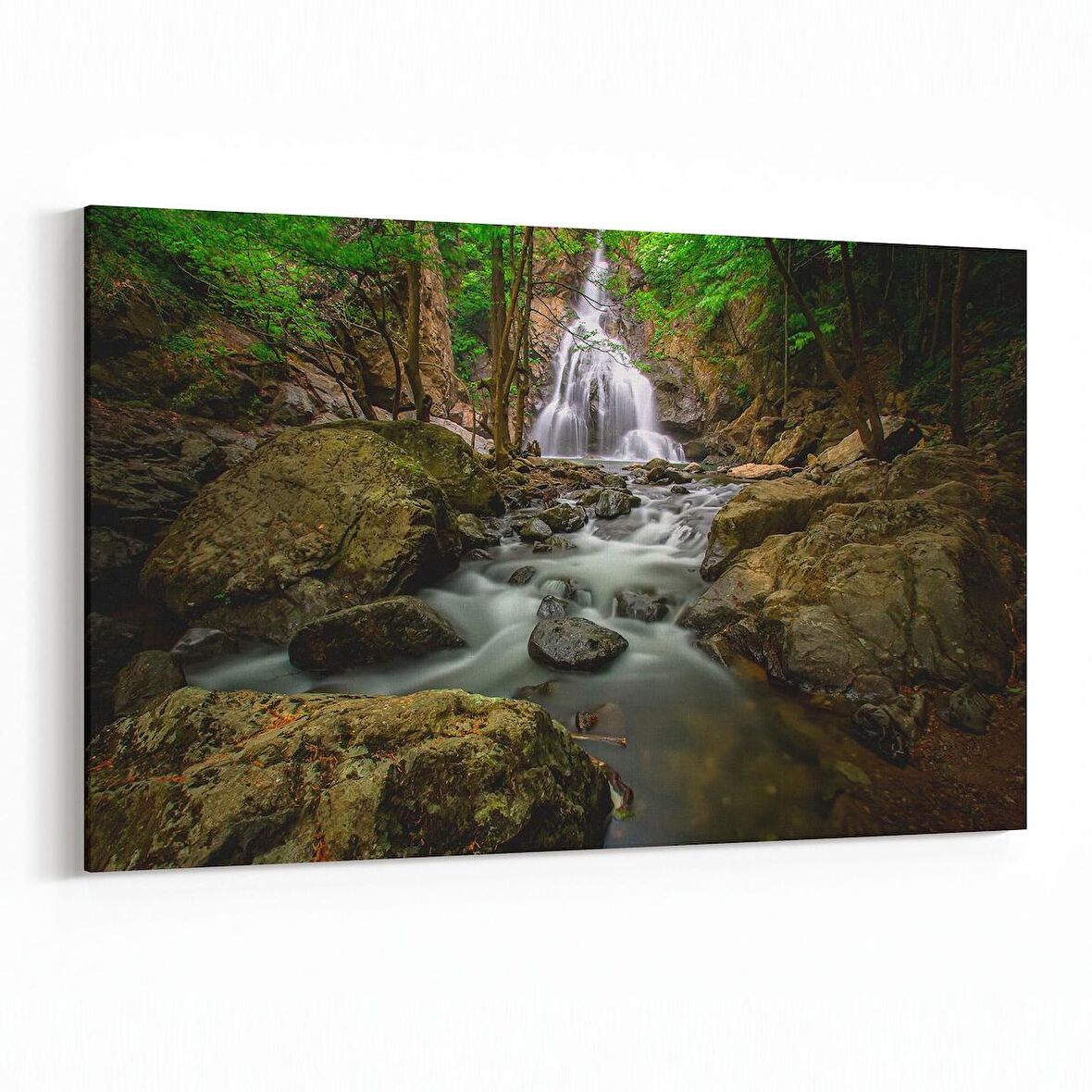 Olla 13164Y Doğa / Manzara Görseli Yatay Kanvas Tablo (Ölçü: 70X50)