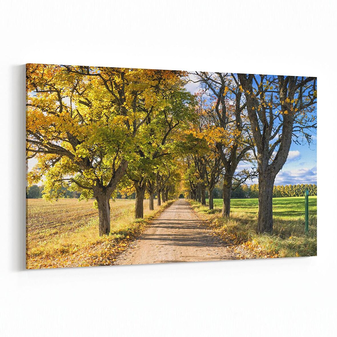 Olla 14160Y Doğa / Manzara Görseli Yatay Kanvas Tablo (Ölçü: 120X80)