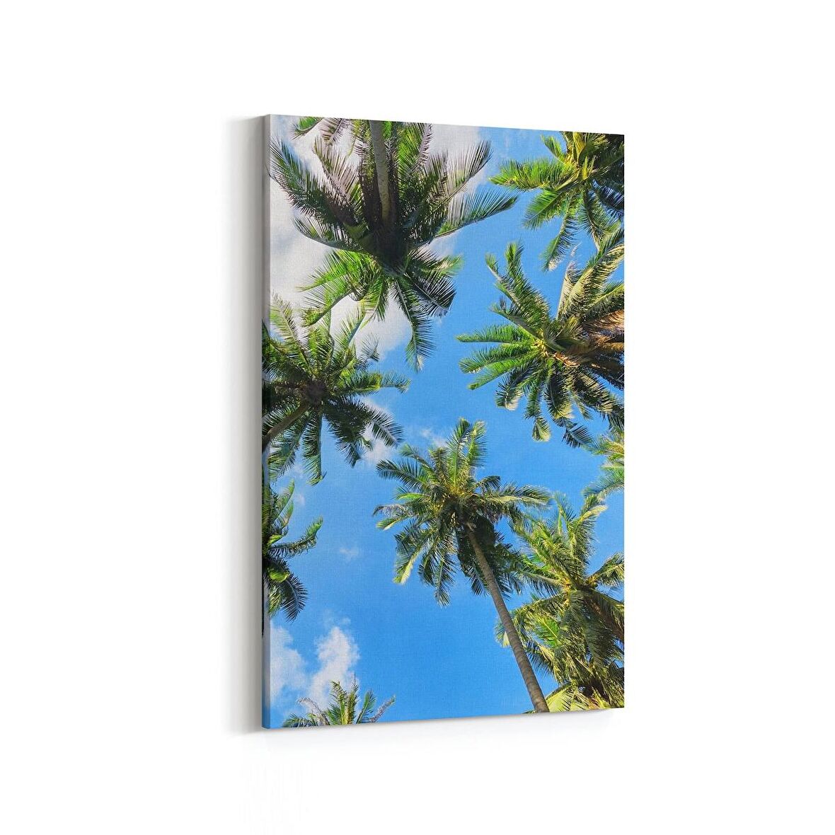 Olla 11504D Palmiye Ağacı Görseli Dikey Kanvas Tablo (Ölçü: 60X90)