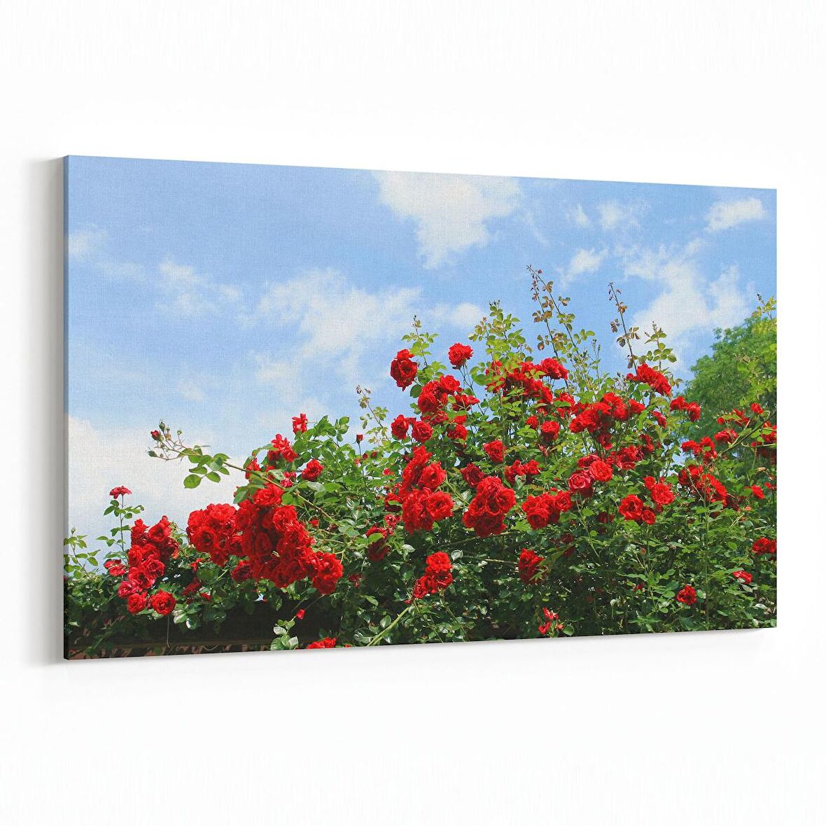 Olla 10632Y Ağaç Görseli Yatay Kanvas Tablo (Ölçü: 30X20)