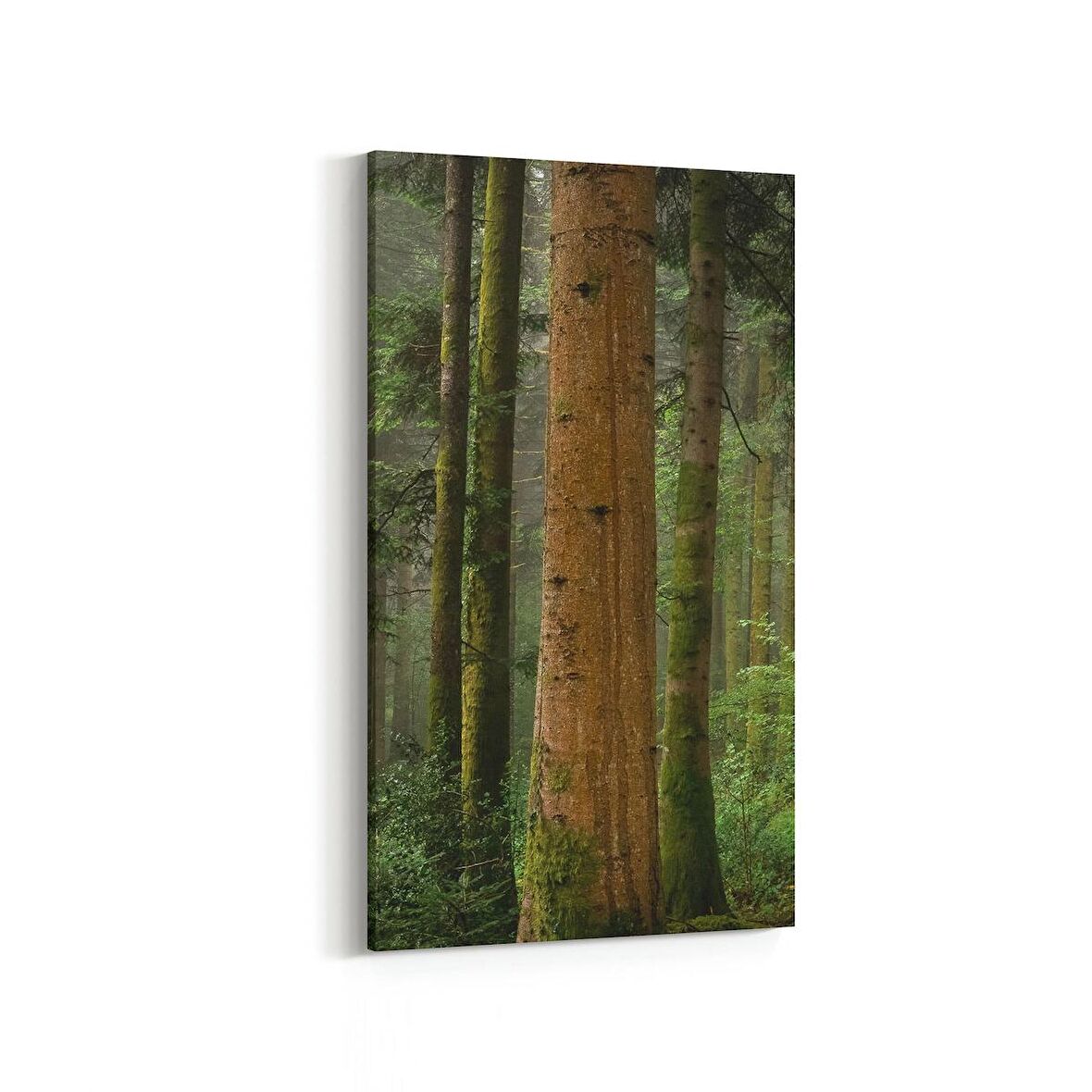 Olla 13911DD Doğa / Manzara Görseli Dikey Dar Kanvas Tablo (Ölçü: 40X80)