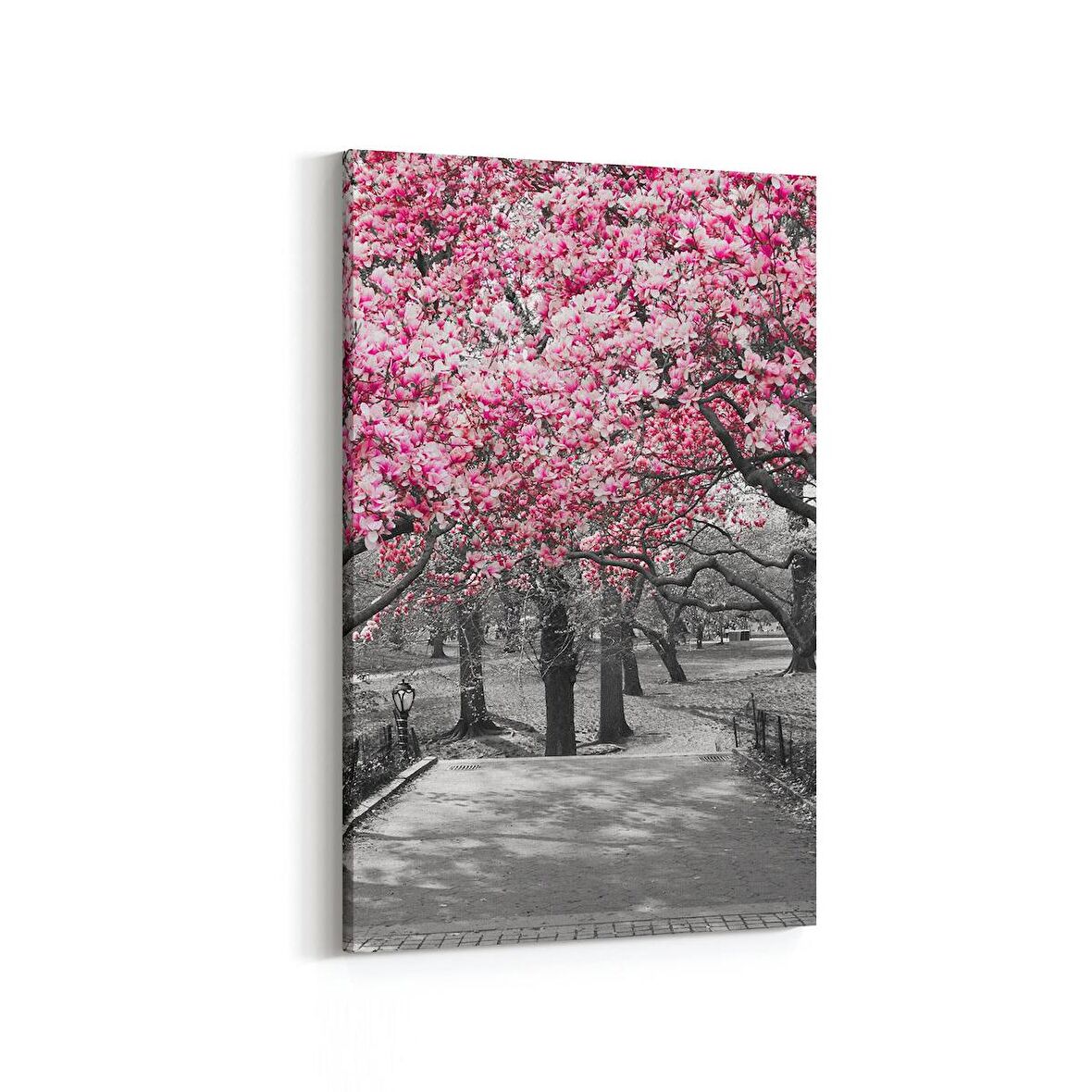 Olla 13832D Doğa / Manzara Görseli Dikey Kanvas Tablo (Ölçü: 100X150)