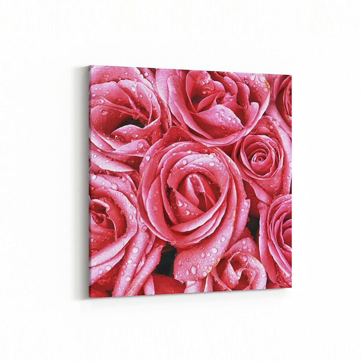 Olla 11640K Çiçek Görseli Kare Kanvas Tablo (Ölçü: 60X60)