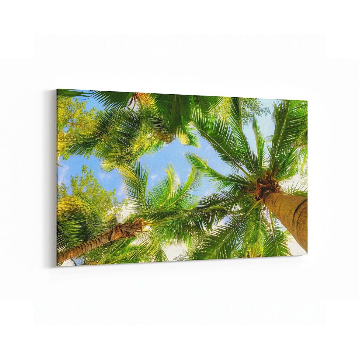 Olla 11542Y Palmiye Ağacı Görseli Yatay Kanvas Tablo (Ölçü: 70X50)