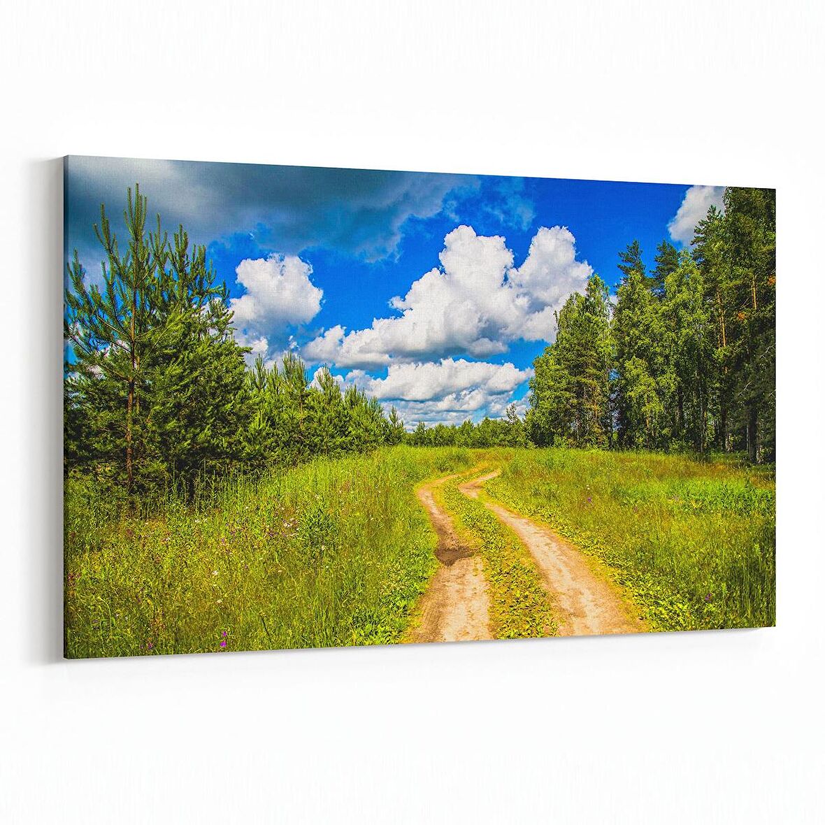 Olla 13186Y Doğa / Manzara Görseli Yatay Kanvas Tablo (Ölçü: 90X60)