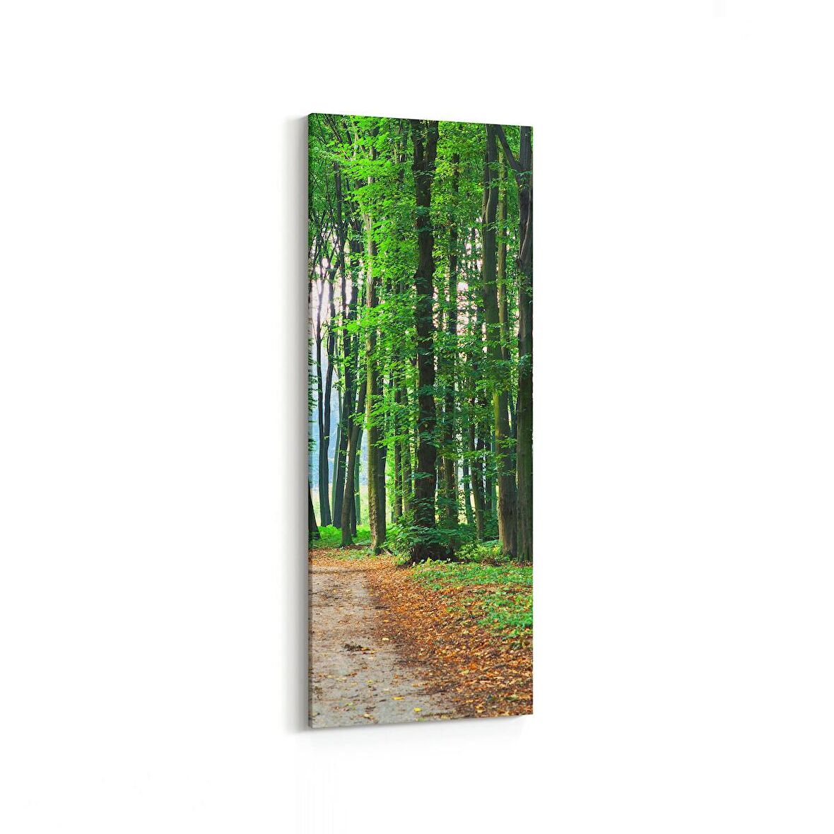 Olla 13870DI Doğa / Manzara Görseli Dikey İnce Kanvas Tablo (Ölçü: 40X120)