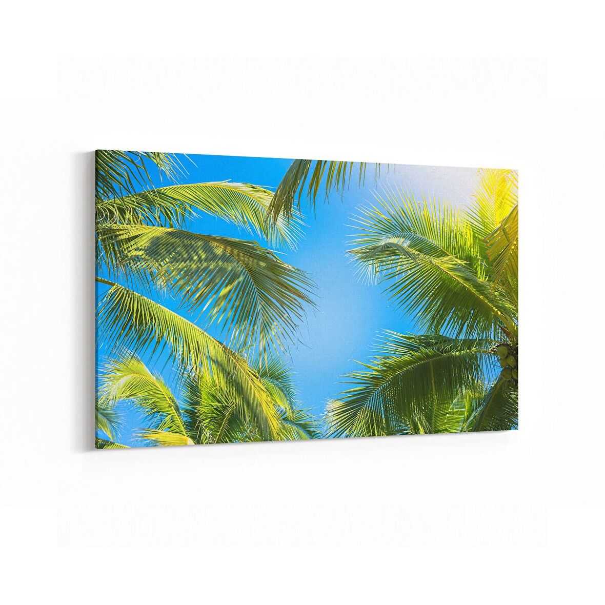 Olla 11487Y Palmiye Ağacı Görseli Yatay Kanvas Tablo (Ölçü: 45X30)