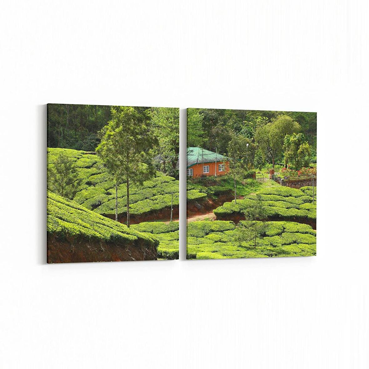 Olla 13341K2Y Doğa / Manzara Görseli Kare 2'li Yatay Kanvas Tablo (Ölçü: 85X40)