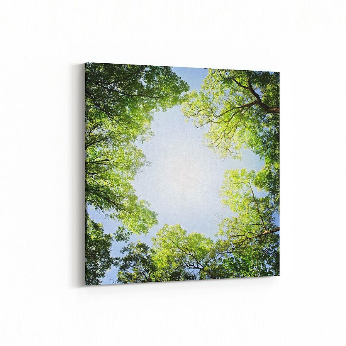 Olla 10749K Ağaç Görseli Kare Kanvas Tablo (Ölçü: 30X30)