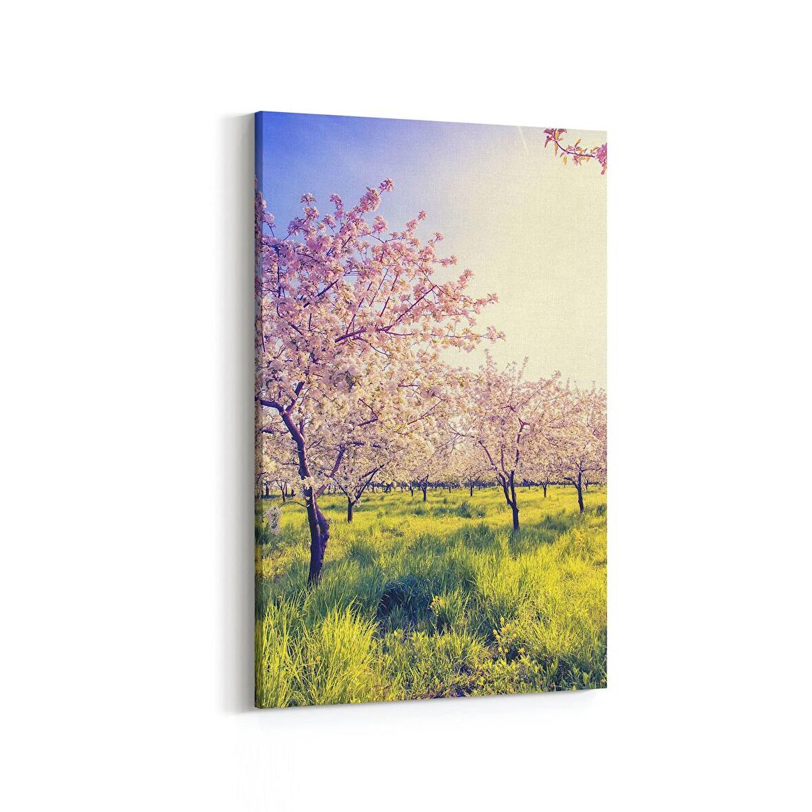 Olla 13706D Doğa / Manzara Görseli Dikey Kanvas Tablo (Ölçü: 80X120)