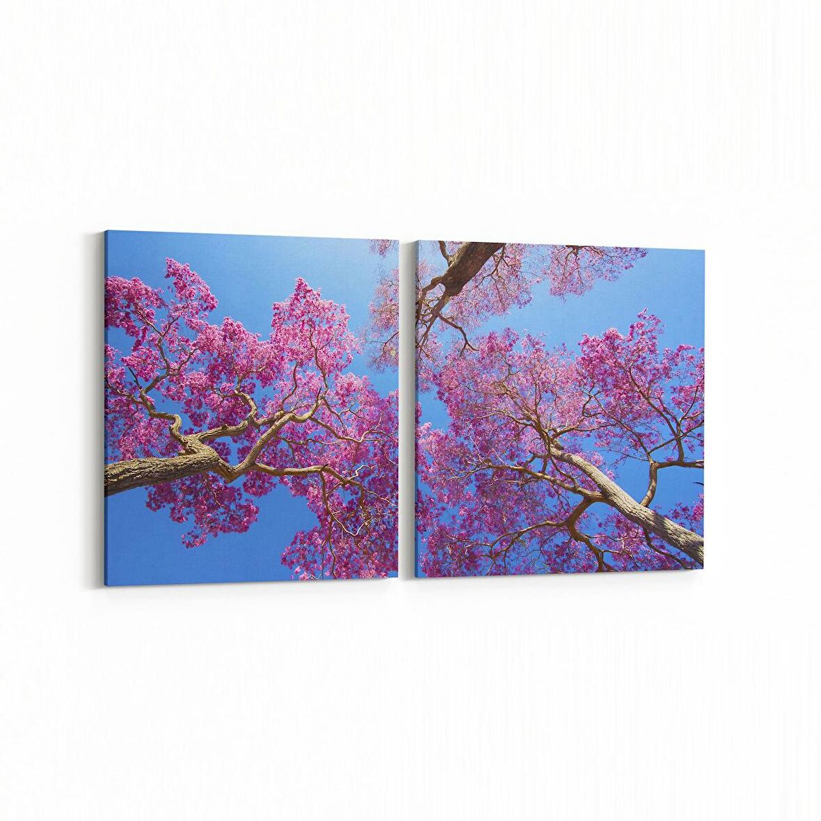 Olla 10617K2Y Ağaç Görseli Kare 2'li Yatay Kanvas Tablo (Ölçü: 145X70)