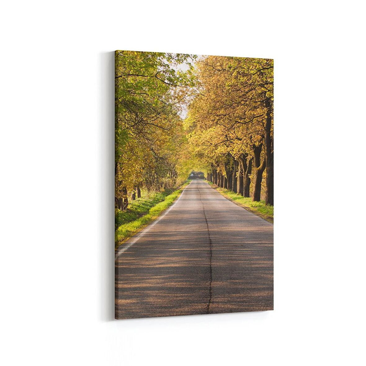 Olla 13579D Doğa / Manzara Görseli Dikey Kanvas Tablo (Ölçü: 60X90)