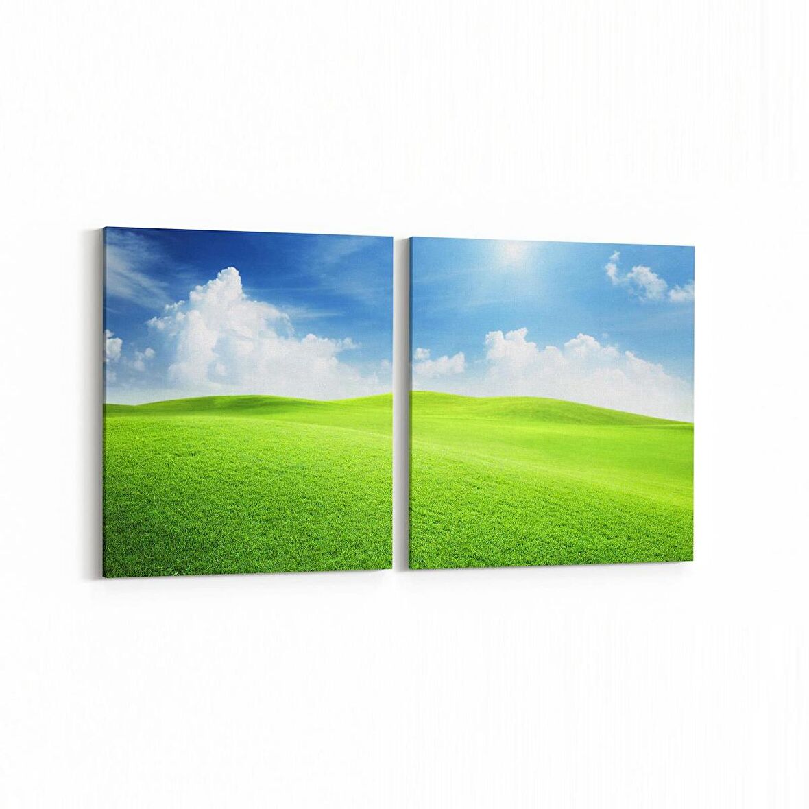 Olla 14359K2Y Doğa / Manzara Görseli Kare 2'li Yatay Kanvas Tablo (Ölçü: 125X60)