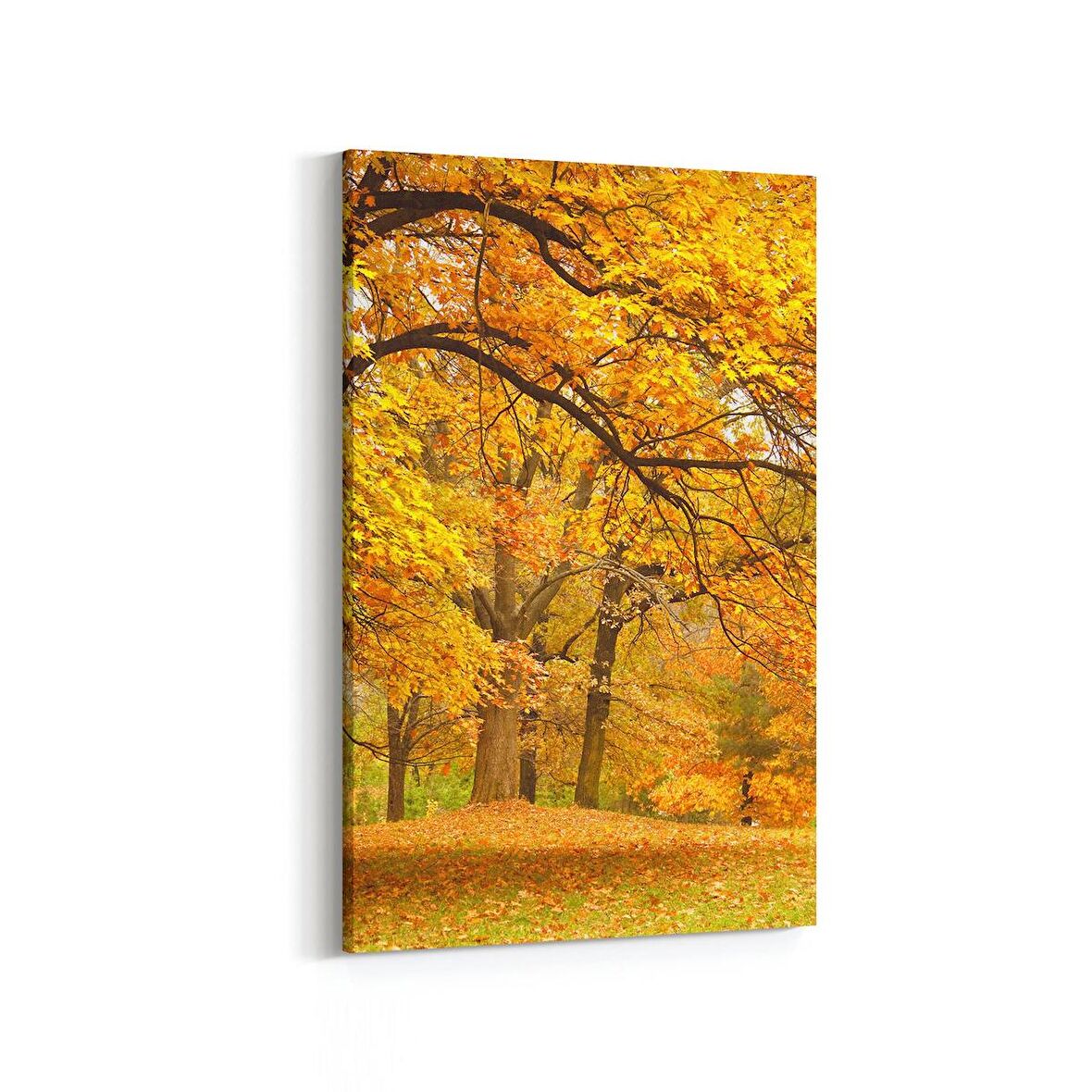 Olla 13229D Doğa / Manzara Görseli Dikey Kanvas Tablo (Ölçü: 100X150)