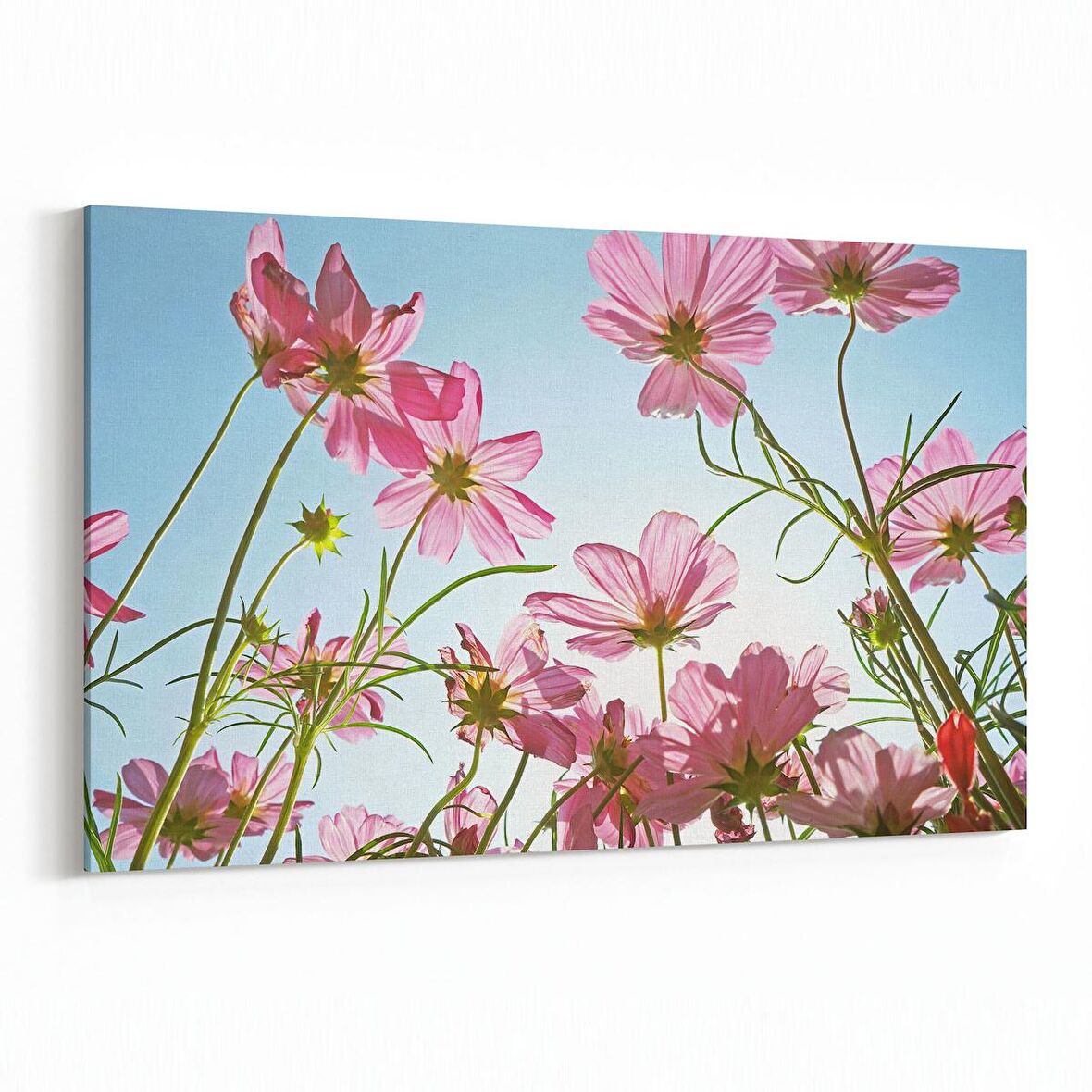 Olla 10647Y Ağaç Görseli Yatay Kanvas Tablo (Ölçü: 150X100)