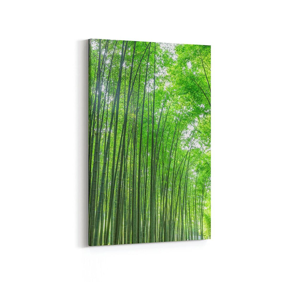 Olla 13474D Doğa / Manzara Görseli Dikey Kanvas Tablo (Ölçü: 20X30)